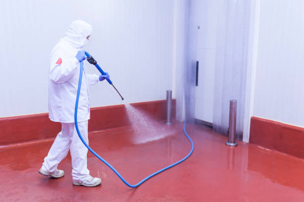 Best Sidewalk and Walkway Cleaning  in Bradfordville, FL